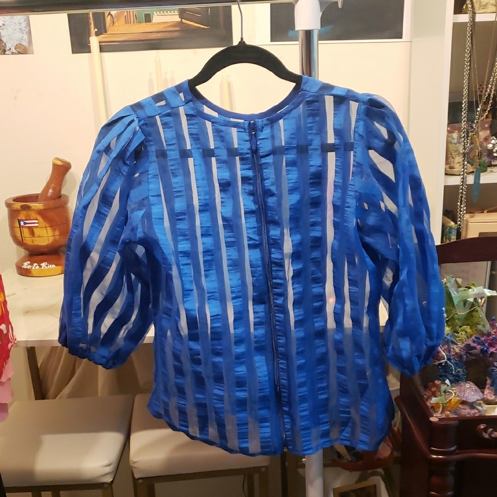 Vintage Blue Sheer Striped Blouse - Picture 6 of 9